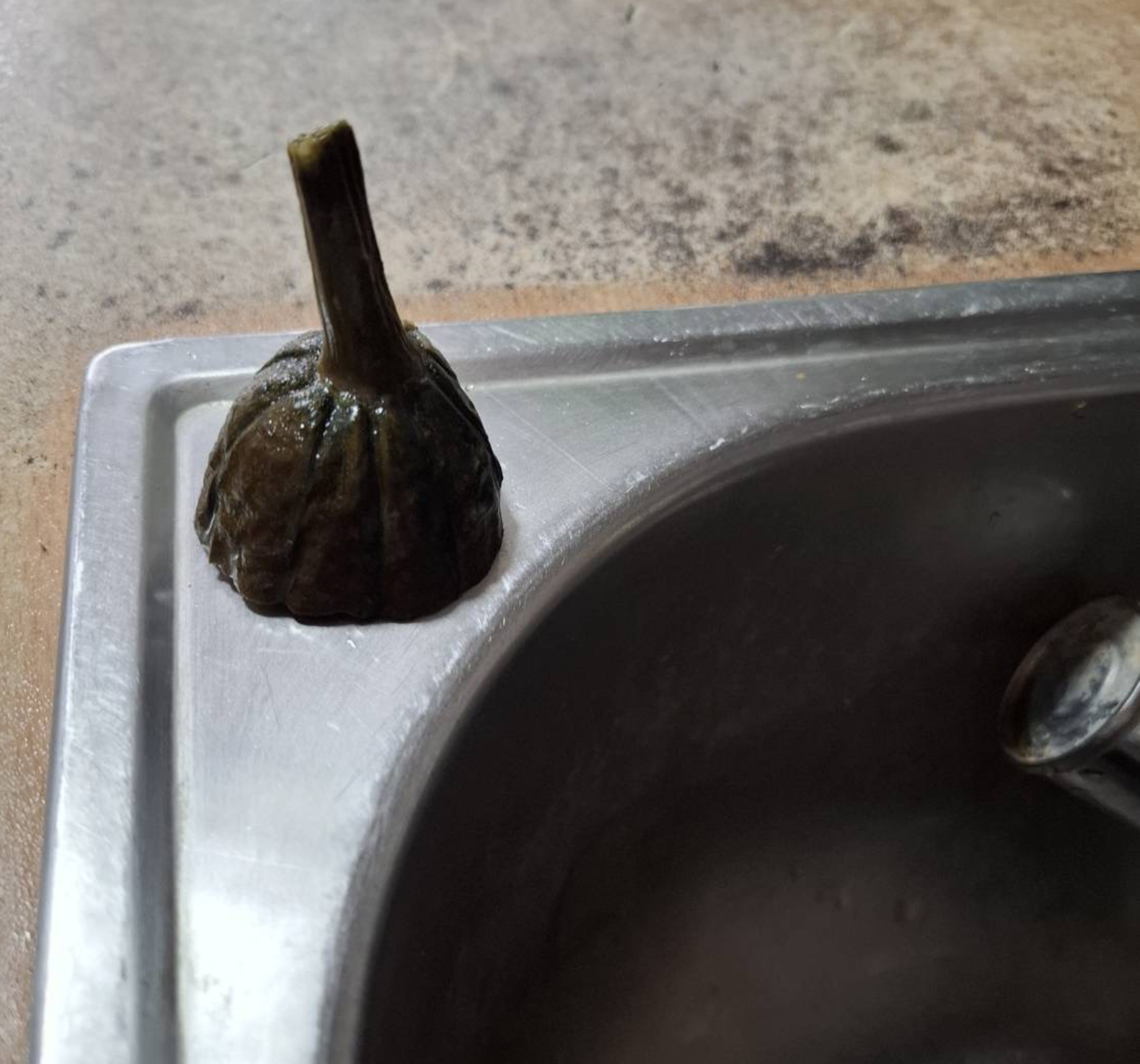 03.絲瓜放三周蒂頭發黑才被切除削皮煮食用餐發現已有異味IMG_0755_0_f287e.jpg